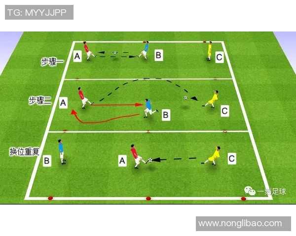 双国籍球员在足球青训中的身份选择与发展困境分析