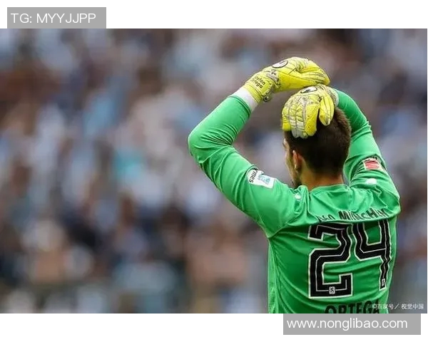 汉堡主场险胜波鸿,实现胜利保持势头 汉堡主场险胜波鸿,实现胜利保持势头